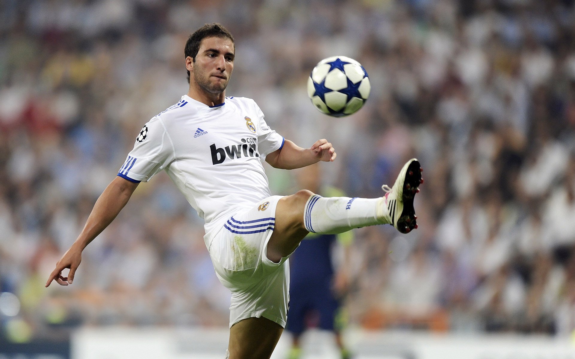 关于篮网前途光明！，穆古鲁扎新星出色防守表现突出赢得满堂喝彩的信息